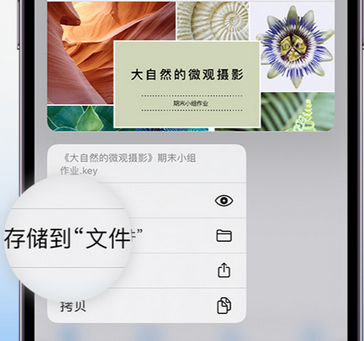 钦州apple维修中心分享iPhone文件应用中存储和找到下载文件