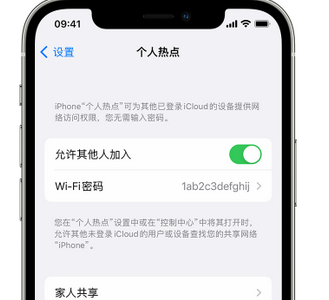 钦州apple服务站点分享iPhone上个人热点丢失了怎么办 