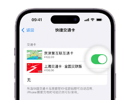 钦州apple维修点分享iPhone上更换Apple Pay快捷交通卡手绘卡面 