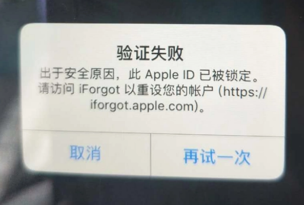 钦州iPhone维修分享iPhone上正常登录或使用AppleID怎么办 