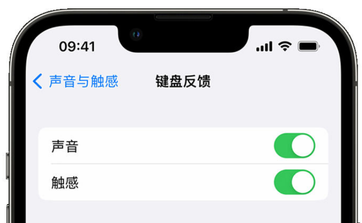 钦州苹果手机维修分享iPhone 14触感键盘使用方法 