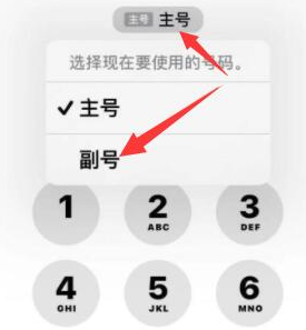 钦州苹果14维修店分享iPhone 14 Pro Max使用副卡打电话的方法 